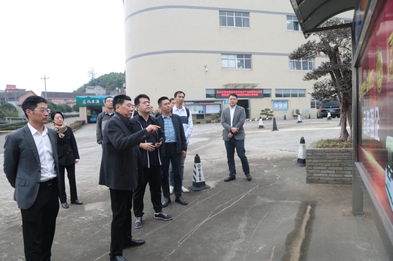 Zhihui-virksomheder stræber efter Win Win, kollisionsgnister fremmer udvikling - Anhui Linlu Industrial Park Management Committee Investeringsforhandlingskonference blev afholdt med succes